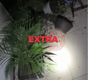 Mulher é presa por tentativa de estrangulamento contra companheira em Vilhena