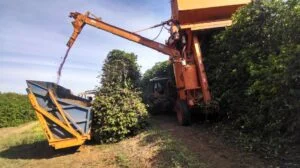 Diesel em disparada pressiona colheita do café e acende alerta sobre custos e logística no campo