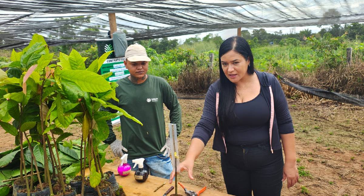 Projeto Fomenta Cacau fortalece produção de mudas para agricultores