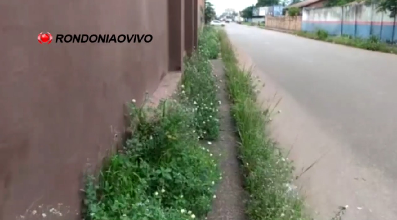 BORA LIMPAR? – Mato em avenida central de Porto Velho atrapalha pedestres
