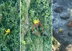 Homem pula de precipício de 40 metros para fugir de abelhas em SP