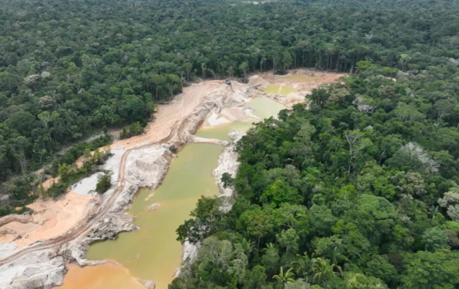 Operação contra garimpo ilegal de ouro e cassiterita apreende maquinário no Parque Nacional Mapinguari (RO)