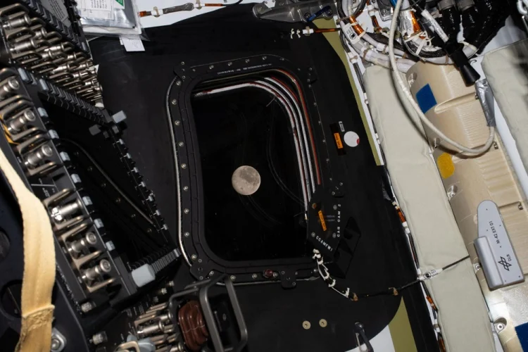 Astronautas da Artemis II batem recorde de distância da Terra