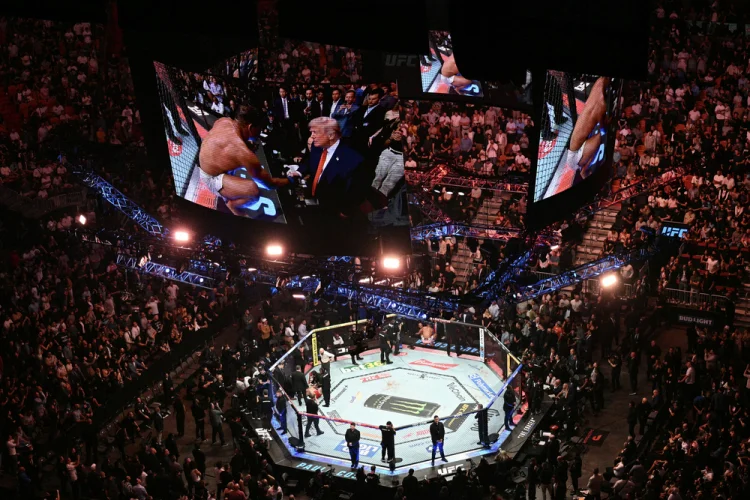 Trump elogia Paulo Borrachinha após nocaute no UFC: ‘Poderia ser modelo’