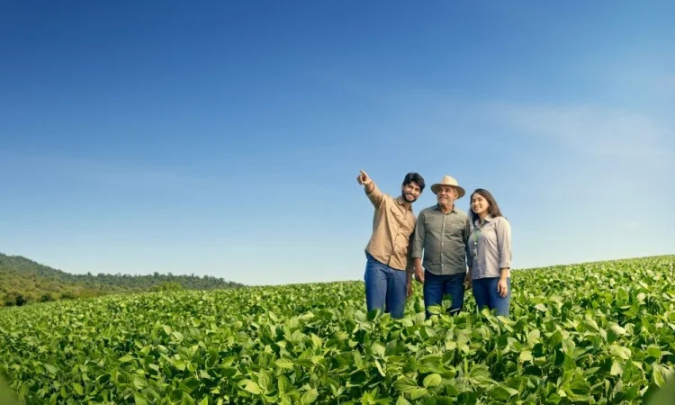 Sicredi libera R$ 52,8 bilhões em crédito rural no Plano Safra 25/26 e reforça atuação no agronegócio