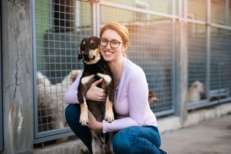 Mulheres lideram adoção de pets, mas arcam com o peso crescente dos desafios