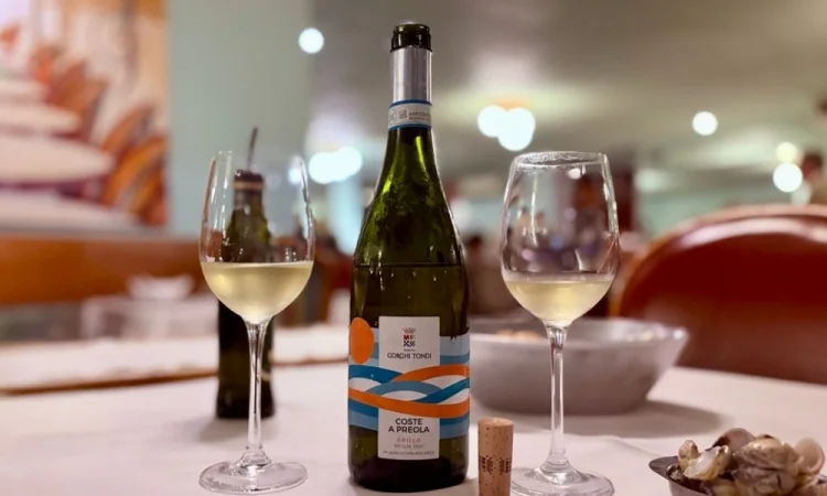 Solares e gastronômicos: conheça os vinhos brancos do sul da Itália