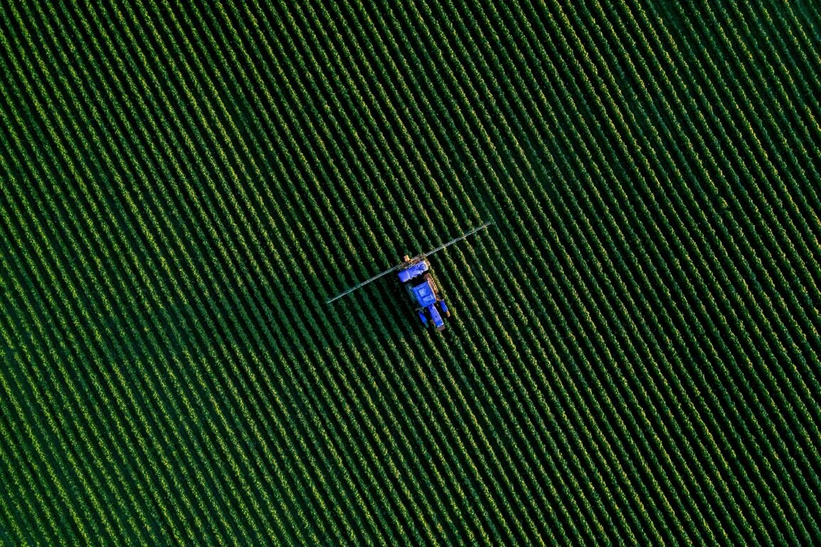 Safra recorde, exportações em alta e armários vazios: brasileiro paga cada vez mais caro pela comida que o próprio país produz de sobra