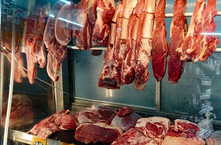 Brasil diz que recebeu com surpresa suspensão da UE para compra de carne