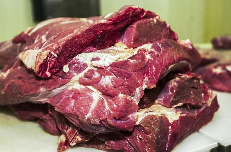 União Europeia barra carne brasileira por falta de garantias sobre antibióticos