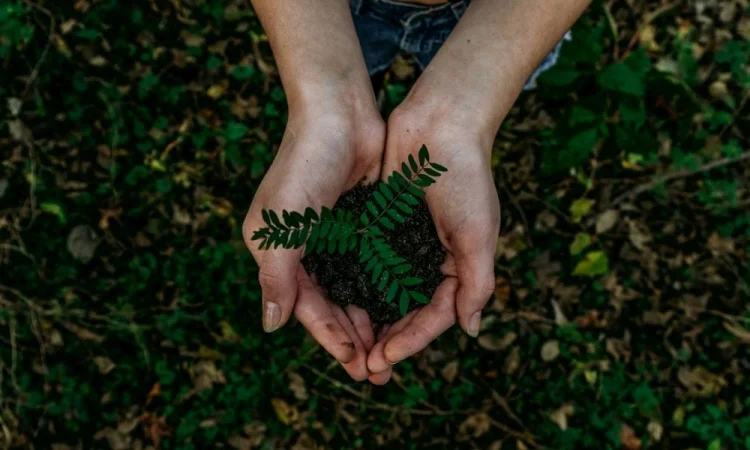 A liderança ESG começa pela escuta