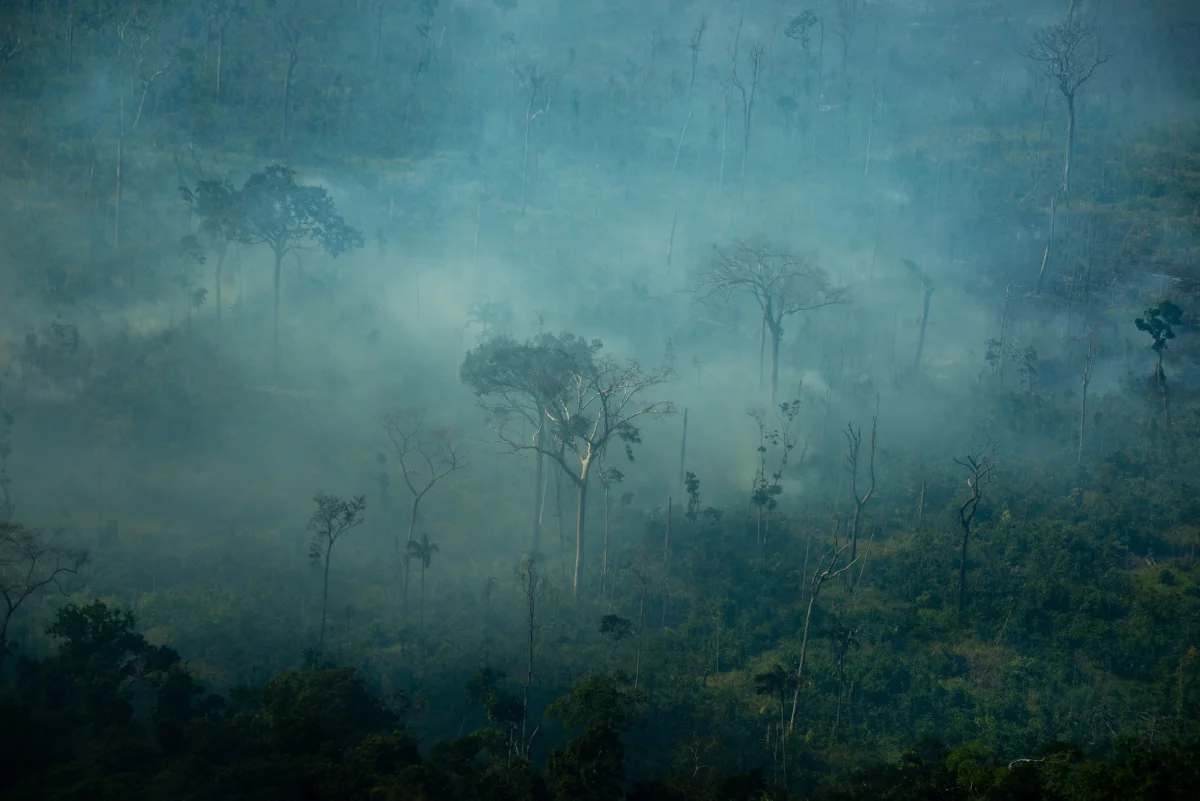 Super El Niño: Dino dá 10 dias para União e estados informarem plano de combate a incêndios florestais