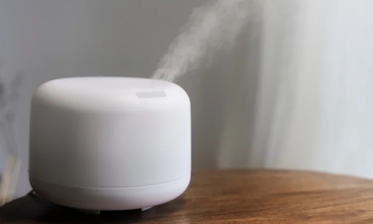 Para que serve o umidificador de ar e como usá-lo de forma segura
