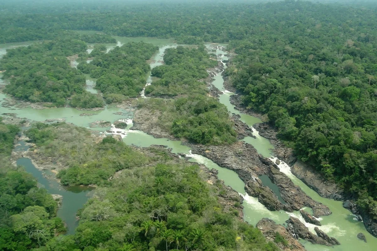 Câmara aprova projeto que reduz área de proteção na Amazônia; governistas falam em legalização do garimpo