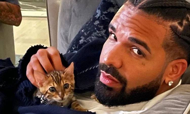 Drake surpreende fãs e faz o maior lançamento da carreira ao divulgar mais de 40 músicas em um dia