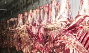 Carne bovina brasileira escapa da tarifa americana de 25% e setor respira aliviado