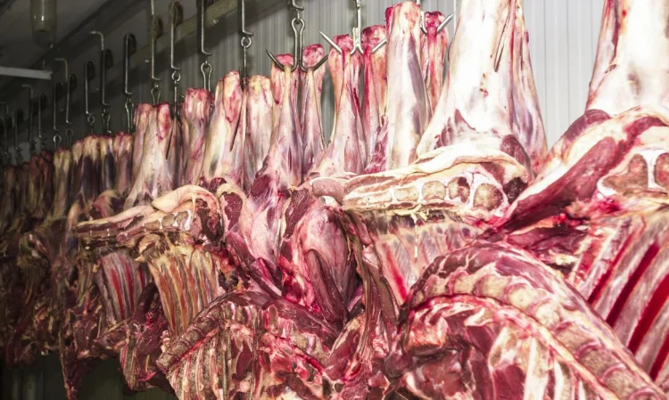 Carne bovina brasileira escapa da tarifa americana de 25% e setor respira aliviado