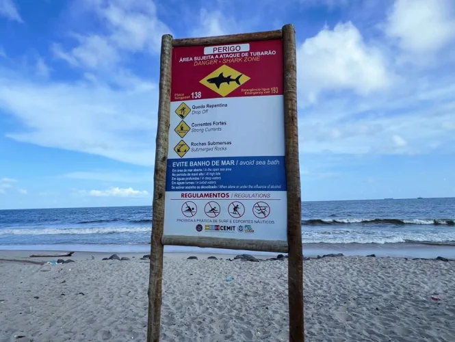 Mulher é mordida por tubarão em praia de Recife; veja vídeo