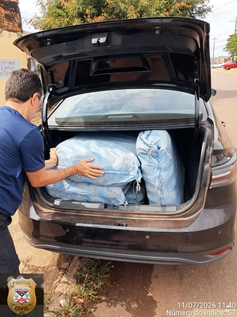Polícia Civil apreende aproximadamente 125 quilos de maconha em Cacoal; droga é incinerada nesta segunda-feira