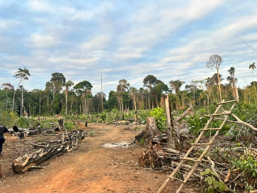 Urgente: Polícia Civil deflagra Operação “Capão da Onça” contra grupo investigado por invasão de propriedade rural e crimes ambientais em Rondônia