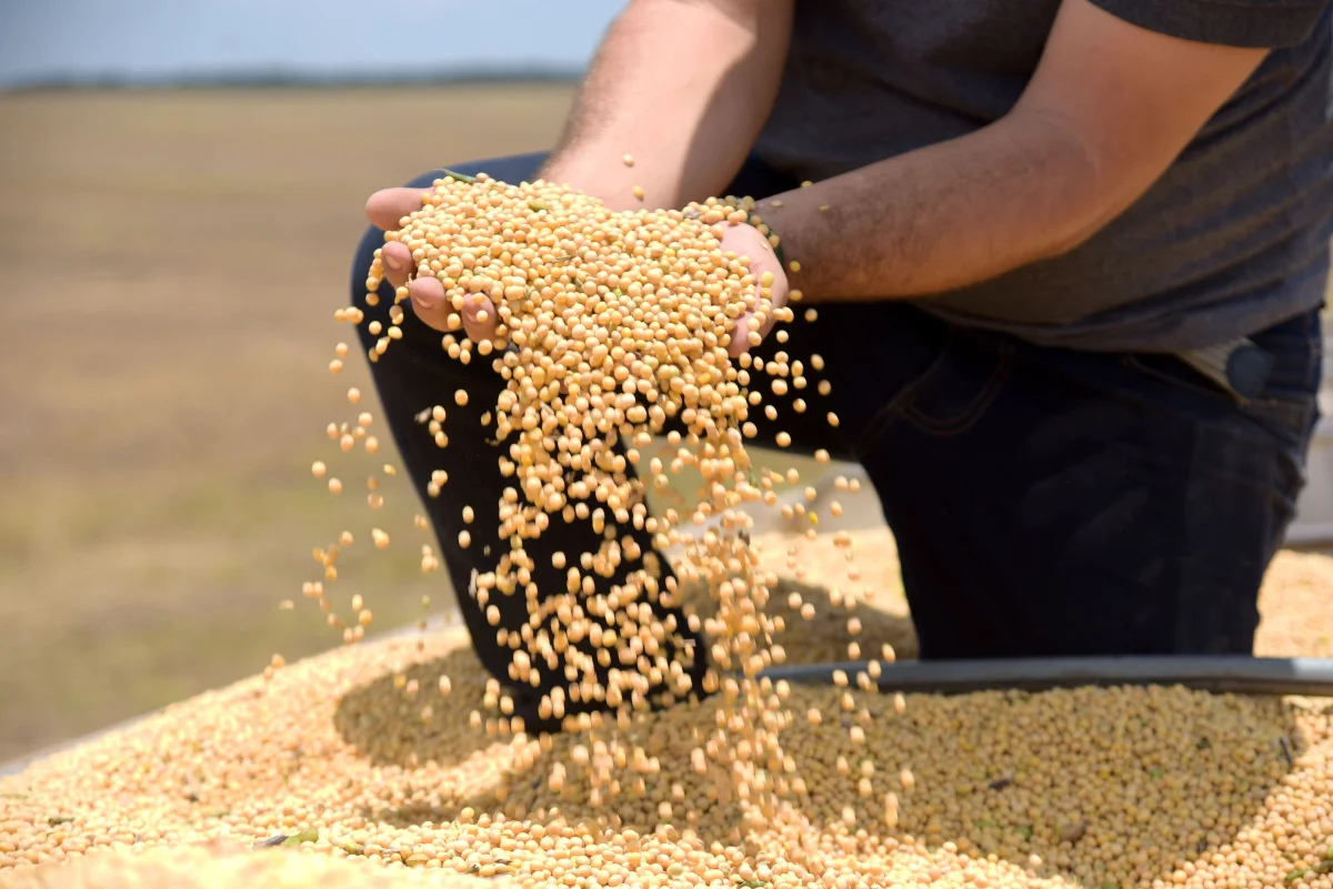 Tarifaço deve atingir 36,5% das exportações do agro brasileiro, diz CNA