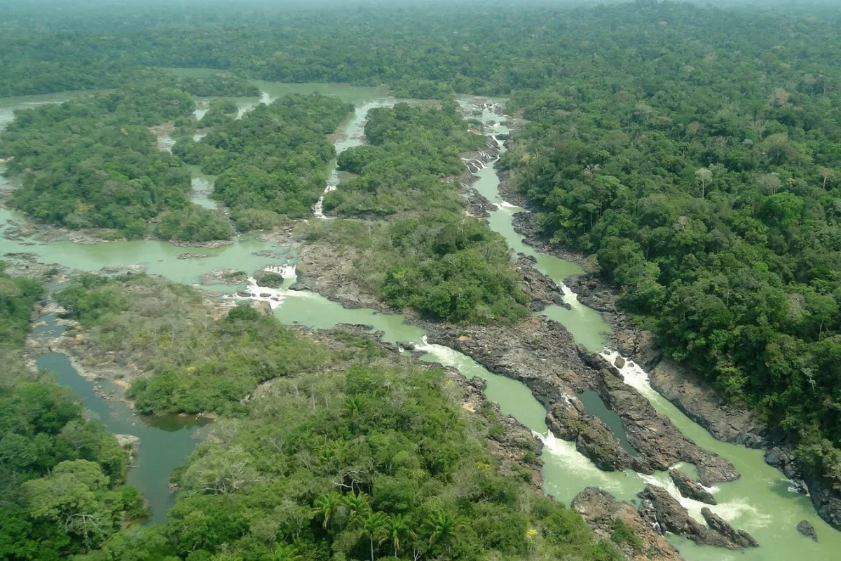 Senado aprova proposta que reduz em quase 40% de floresta no Pará e dificulta multas ambientais