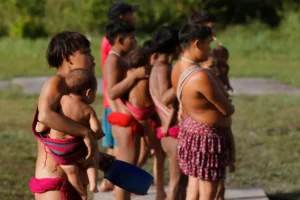 Mortes no território Yanomami disparam sob Lula e superam governos anteriores