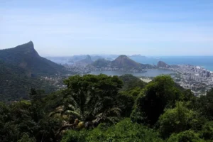 Avião cai na Zona Sul do Rio de Janeiro