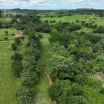 Área equivalente a quase 7 mil campos de futebol: Novo diagnóstico digital revela o sucesso da restauração ecológica em Rondônia