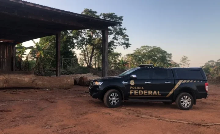 PF investiga uso de empresas e créditos florestais para “legalizar” madeira retirada ilegalmente