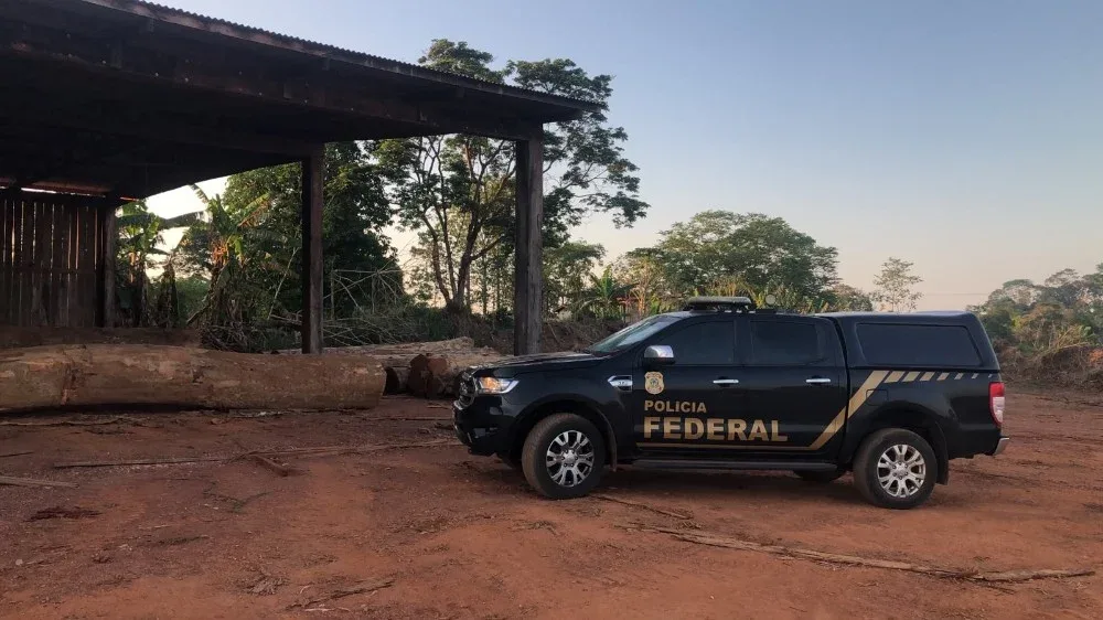 PF investiga uso de empresas e créditos florestais para “legalizar” madeira retirada ilegalmente PF investiga uso de empresas e créditos florestais para “legalizar” madeira retirada ilegalmente