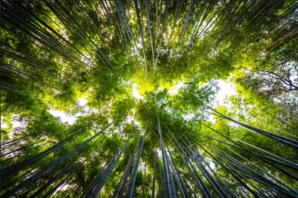 Em Ji-paraná, IDOMED realiza Seminário ESG 2026 com programação gratuita e foco em impacto local