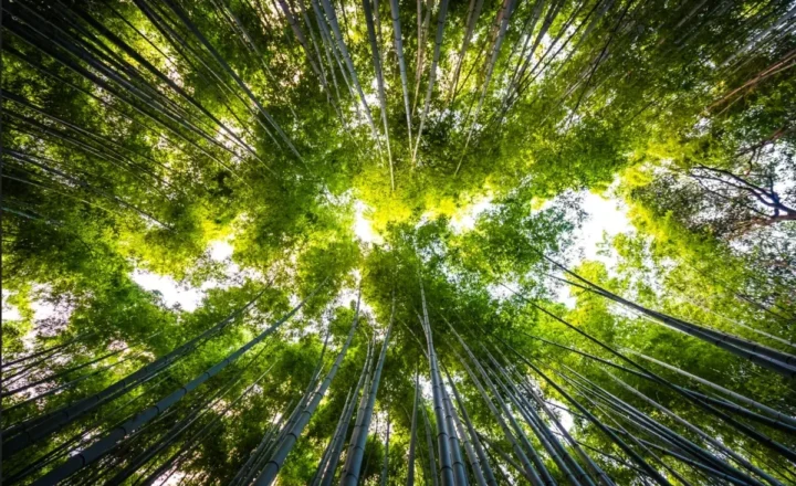 Em Ji-paraná, IDOMED realiza Seminário ESG 2026 com programação gratuita e foco em impacto local