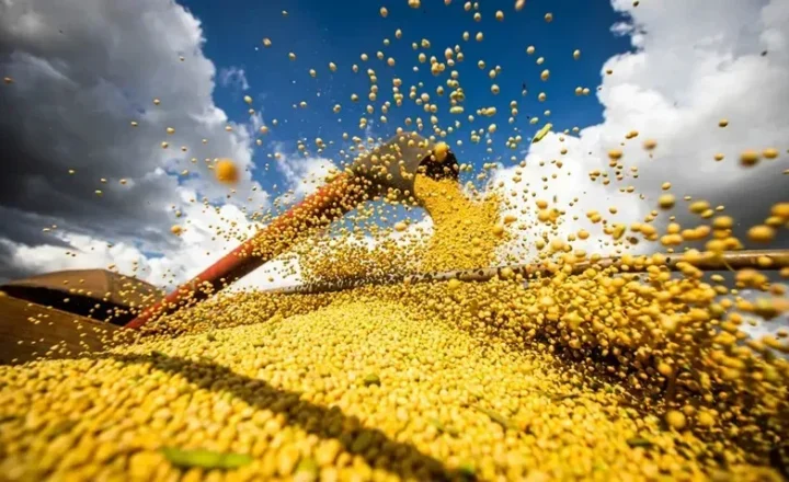 Produção agrícola brasileira superou R$ 927 bilhões em 2025