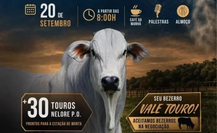 3º Dia de Campo e Shopping Nelore JV reúne genética, tecnologia e oportunidades de negócios em Pimenta Bueno