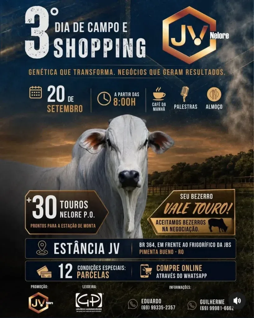 3º Dia de Campo e Shopping Nelore JV reúne genética, tecnologia e oportunidades de negócios em Pimenta Bueno