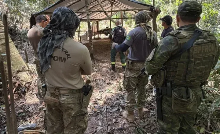 PF combate extração ilegal de madeira em terra indígena de Rondônia