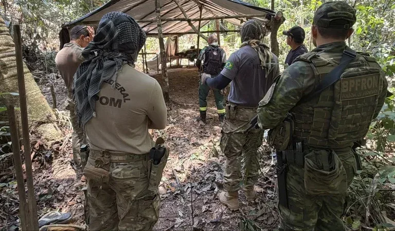PF combate extração ilegal de madeira em terra indígena de Rondônia