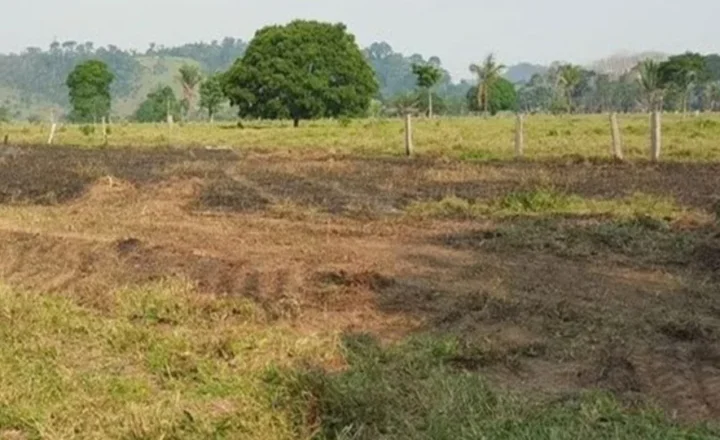 Homem morre durante combate a incêndio em pasto