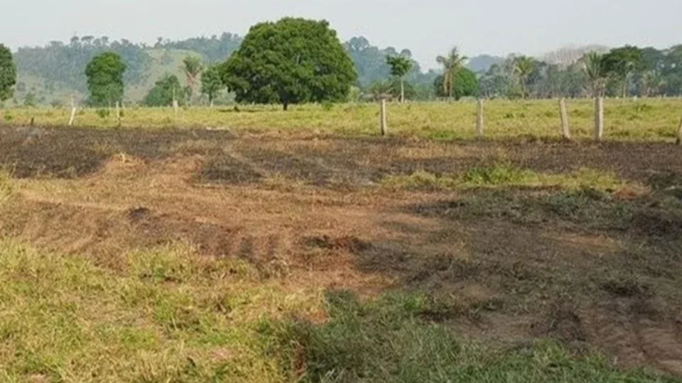Homem morre durante combate a incêndio em pasto Homem morre durante combate a incêndio em pasto