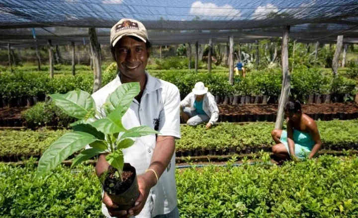 Órgãos públicos já contrataram mais de R$ 8,5 milhões de microempreendedores e agricultores familiares em Rondônia