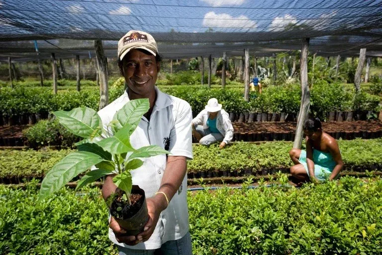 Órgãos públicos já contrataram mais de R$ 8,5 milhões de microempreendedores e agricultores familiares em Rondônia