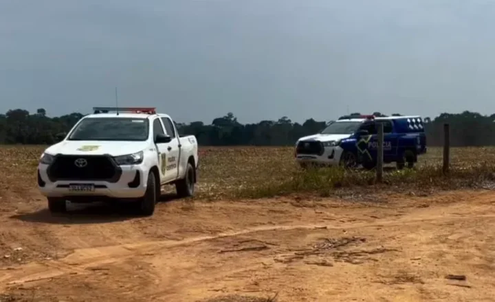 Homem sai para colher castanhas e encontra ossos humanos em Ariquemes, RO