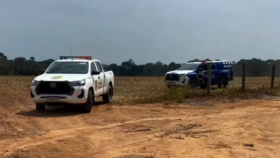 Homem sai para colher castanhas e encontra ossos humanos em Ariquemes, RO Homem sai para colher castanhas e encontra ossos humanos em Ariquemes, RO