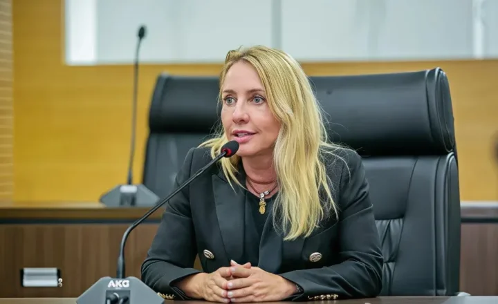 Ieda Chaves faz balanço de trabalho parlamentar que reúne R$ 61 milhões e quase 20 leis