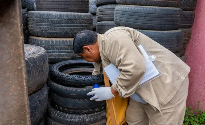 Casos de dengue caem em 2026, mas combate ao mosquito continua essencial