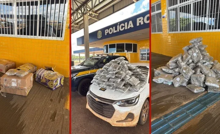 Casal é preso com mais de 50 kg de skunk em porta-malas de carro