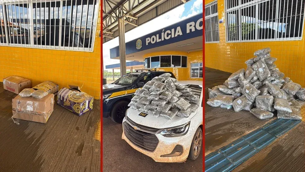 Casal é preso com mais de 50 kg de skunk em porta-malas de carro