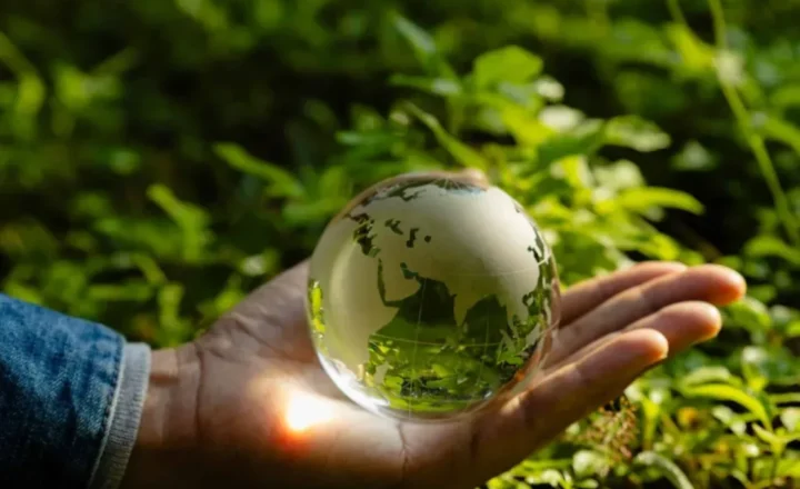 Brasil pode conciliar conservação ambiental e pogresso econômico, afirma CNI