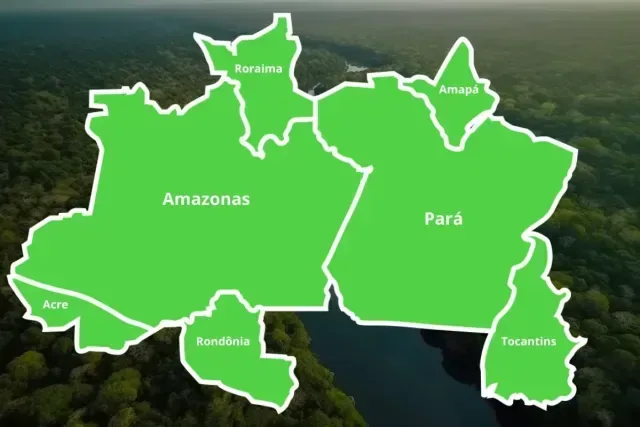 Norte concentrou mais de 526 mil empresas inadimplentes em agosto